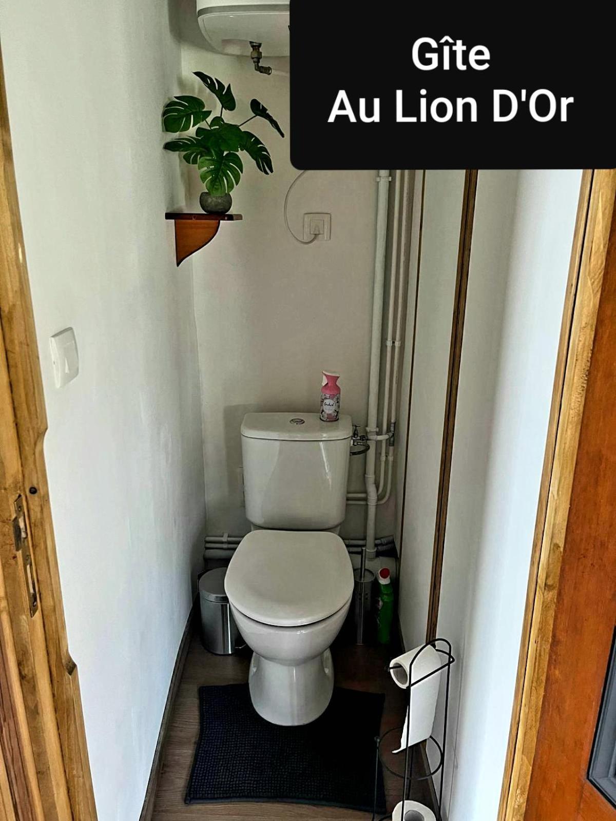 Apartamento Au Lion D'Or Les Roches-l'Eveque Exterior foto